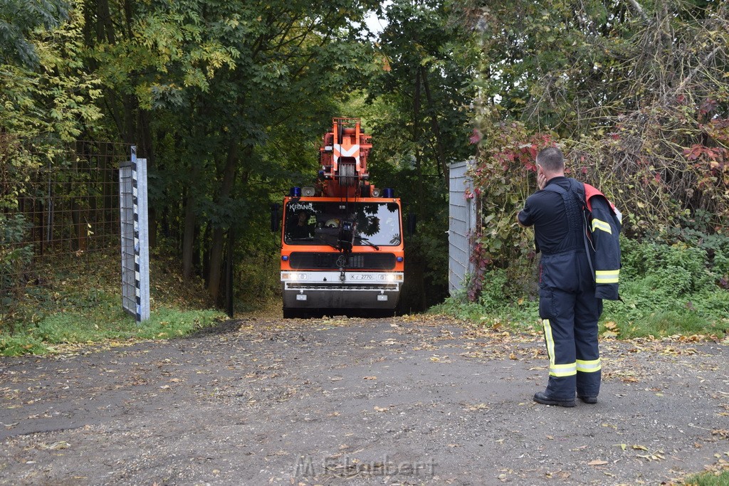 Einsatz BF Koeln PKW im See Koeln Esch P251.JPG - Miklos Laubert